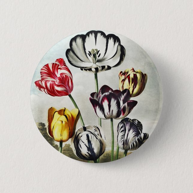 Moody Regency Style Multi-Color Tulips Button (Front)