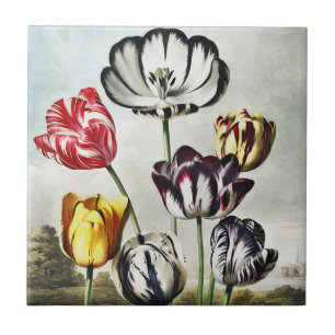 Moody Regency Style Multi-Color Tulips Ceramic Tile