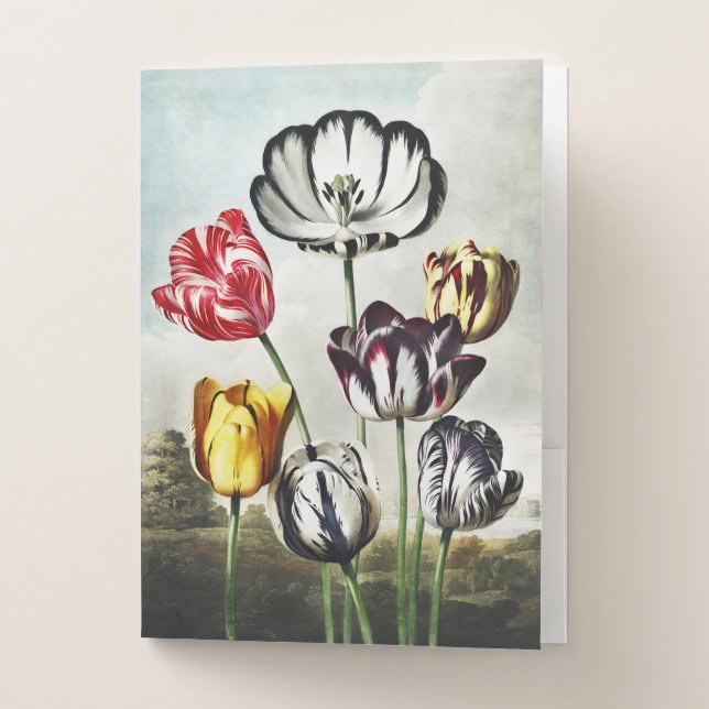 Moody Regency Style Multi-Color Tulips Pocket Folder (Front)
