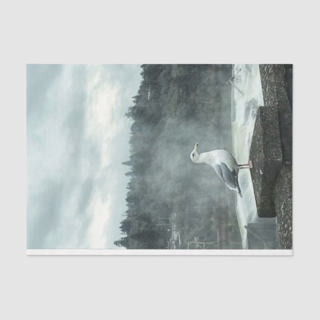 Moody Seagull Decoupage Paper (Front)