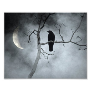 Moody Sky And A Crescent Moon Photo Print