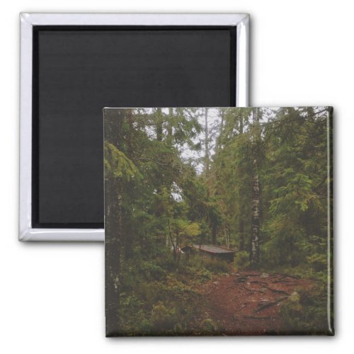 Moody Swedish Forest Magnet