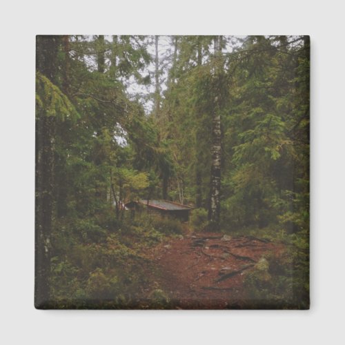 Moody Swedish Forest Magnet