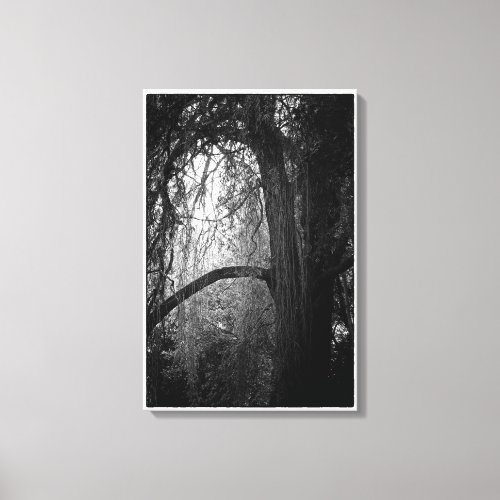 Moody Willow Tree Black and White Landscape Photo Canvas Print