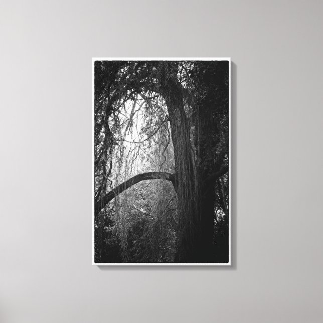 Moody Willow Tree Black and White Landscape Photo Canvas Print (Front)