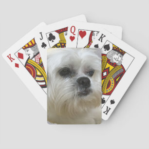 Mookee the Lhasa Apso Dog Poker Cards