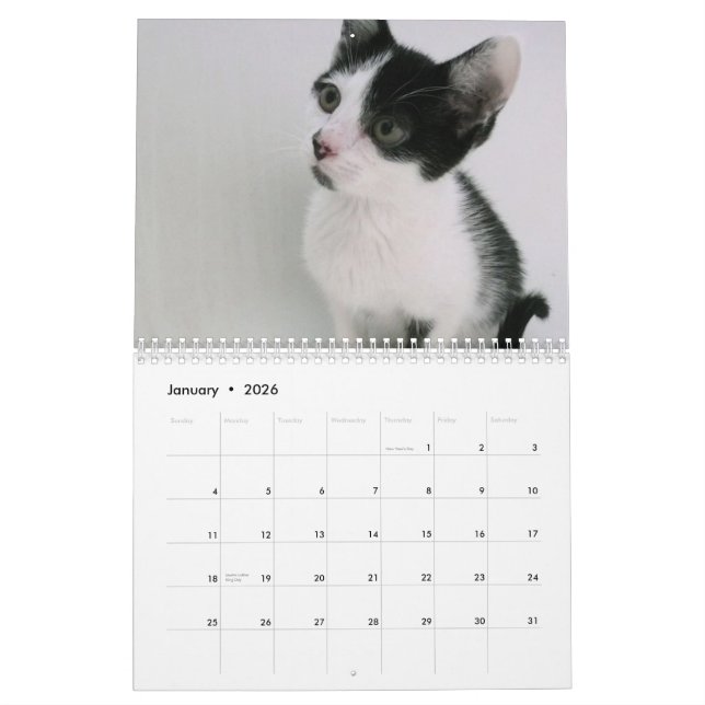 Mooki & Kiko Calendar (Jan 2026)