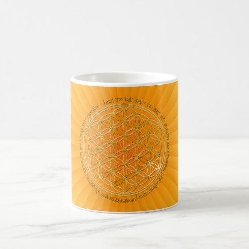 Moola Mantra  Fume Des Lives  yellow radial BG Coffee Mug