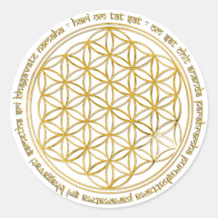 Moola Mantra / Fume of Life Classic Round Sticker