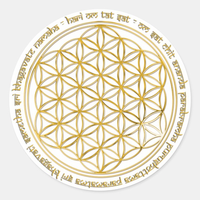 Moola Mantra / Fume of Life Classic Round Sticker (Front)