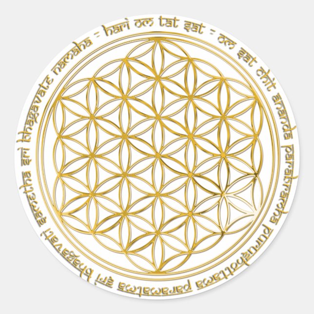 Moola Mantra / Fume of Life Classic Round Sticker (Front)