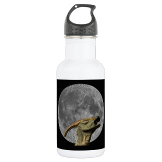 Moon and Charonosaurus Water Bottle