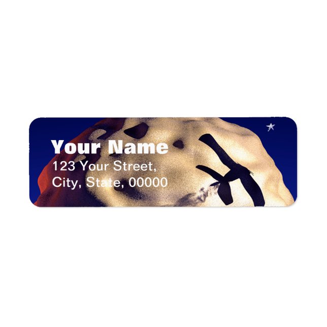 Moon and Plane Customizable Return Address Labels (Front)