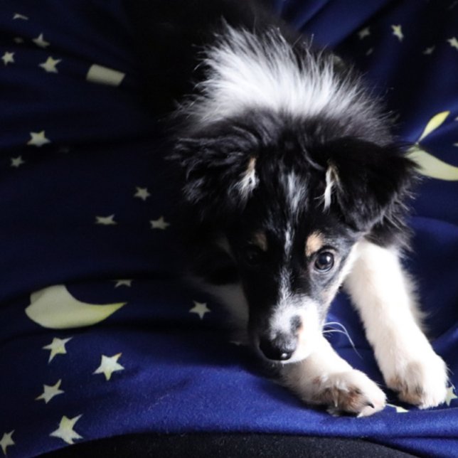 Moon and Stars night Moonchild pattern Sherpa Blanket (Creator Uploaded)