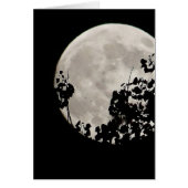 Moon behind dark leaves (Front)