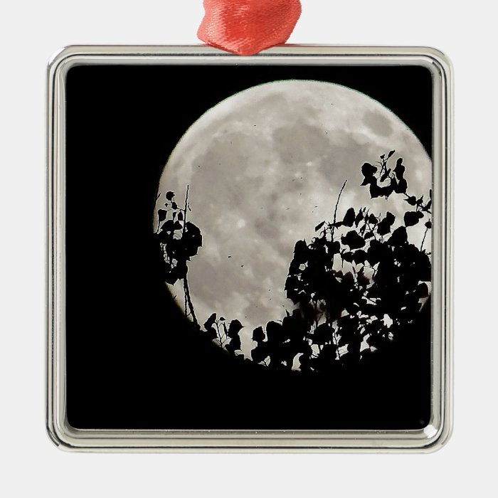 Moon behind dark leaves christmas ornament