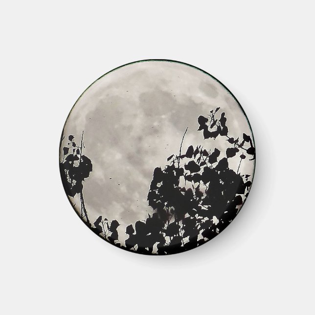 Moon behind dark leaves magnet (Front)