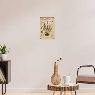 Moon Fern Victorian Botanical Museum Print