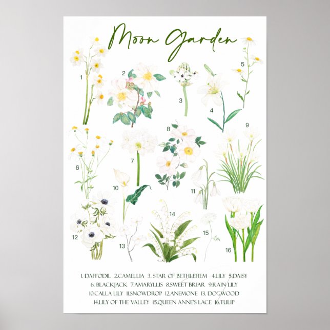 Moon garden watercolor  poster (Front)