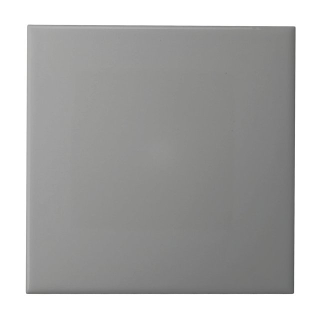 Moon Gray Solid Color  Ceramic Tile (Front)