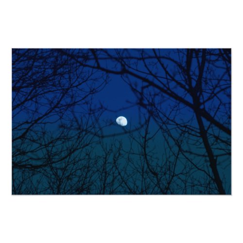 Moon in Ombre Indigo Sky Tree Branches Silhouette Photo Print