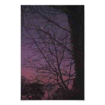 Moon In The Early Morning Photo Print by backyardwonders at Zazzle