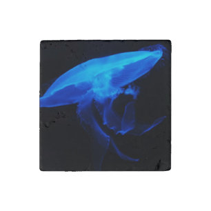 Moon Jelly Fish Stone Magnet