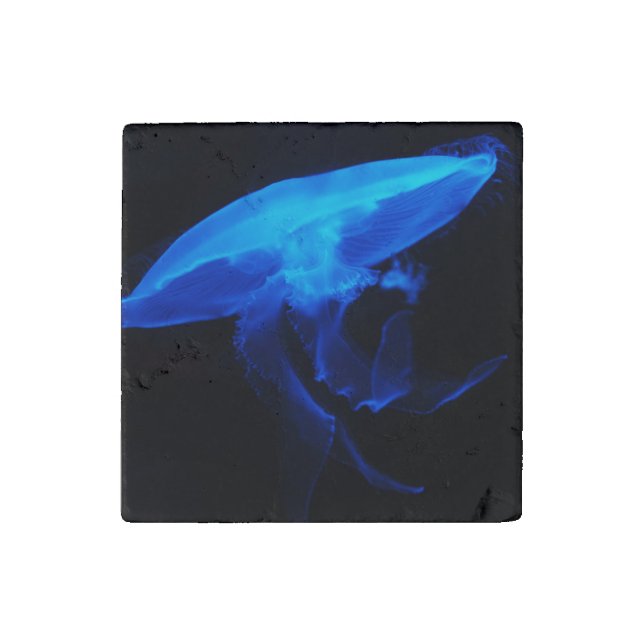 Moon Jelly Fish Stone Magnet (Front)