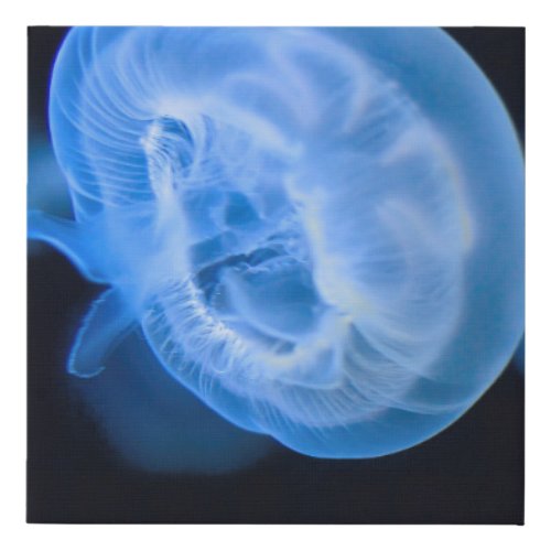 Moon jellyfish faux canvas print
