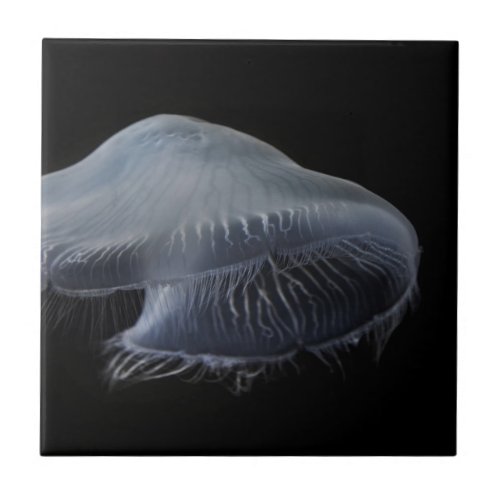 Moon Jellyfish Floating Ceramic Tile
