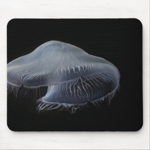 Moon Jellyfish Floating Mouse Pad