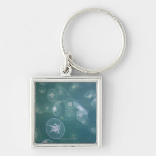 Moon jellyfish keychain