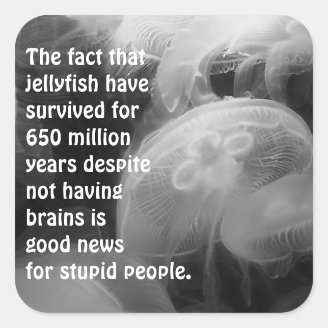 Moon Jellyfish Sticker (Front)