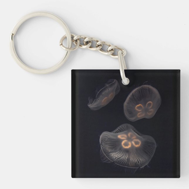 Moon Jellyfish Swimming Keychain (Front)