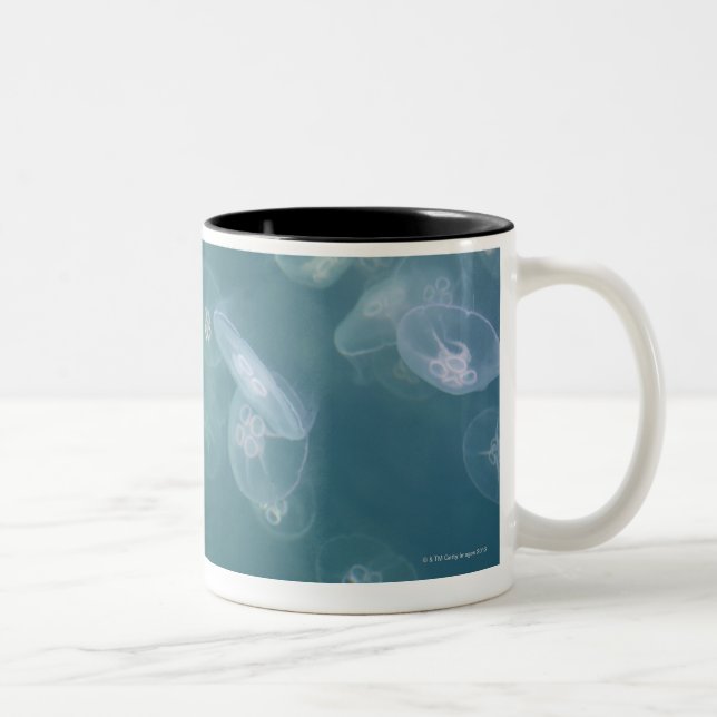 Moon jellyfish Two-Tone coffee mug (Right)