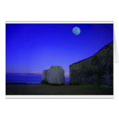 MOON LIGHT NIGHT (Front Horizontal)