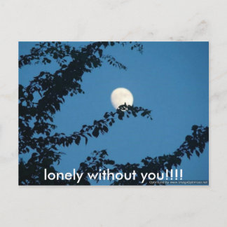 moon, lonely without you!!!! postcard