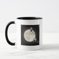 Moon & Magnolia