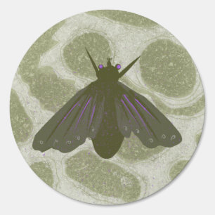“Moon Moth” Sign