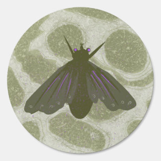 “Moon Moth” Sign