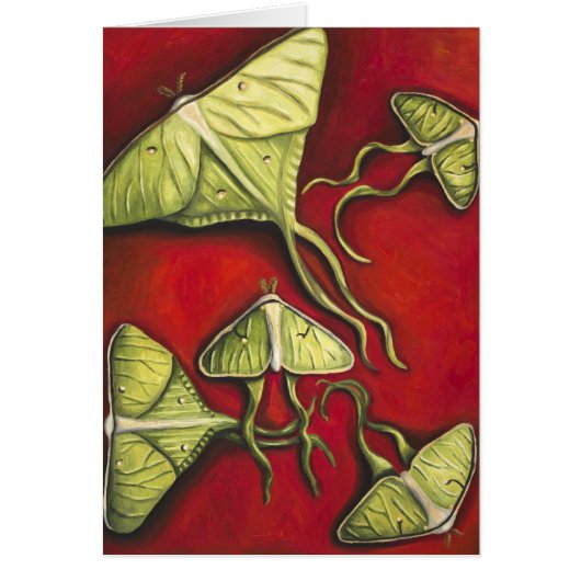 Moon Moths Cards (Front)