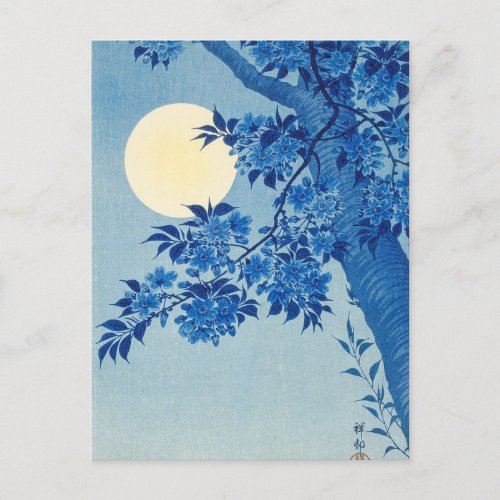 Moon Night Evening Tree Blue Moonlit Postcard