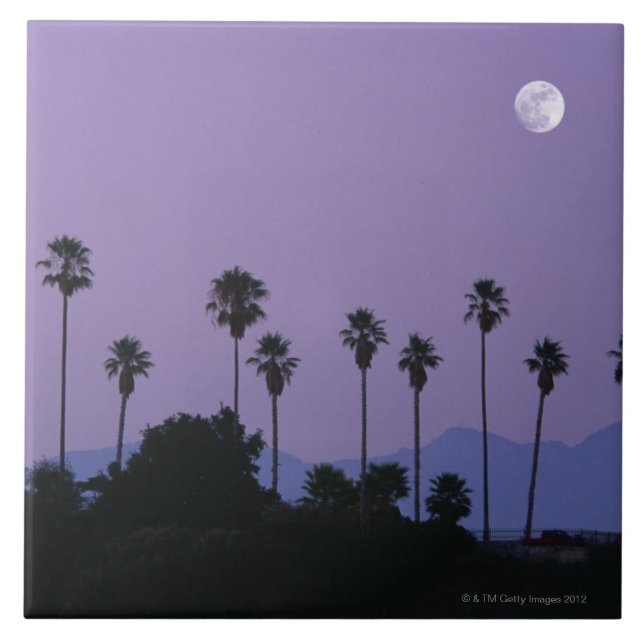 Moon over palm trees at dusk, Hollywood Tile (Front)