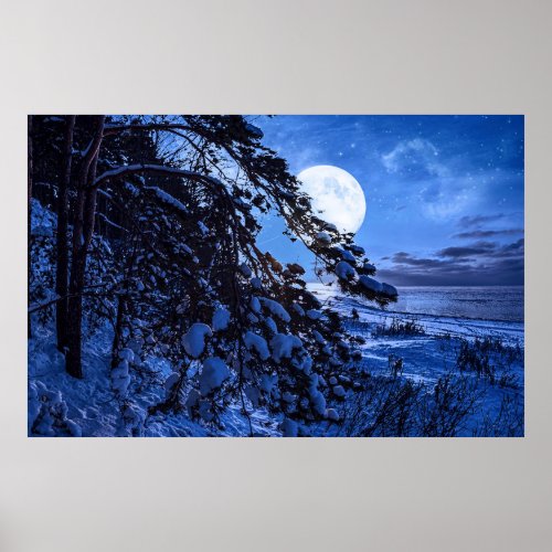 Moon over snowy fir tree and sea coast at night poster