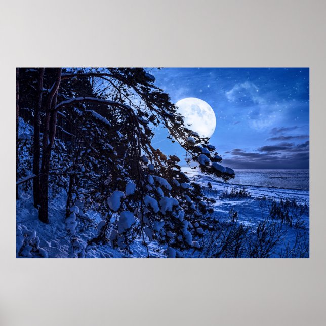 Moon over snowy fir tree and sea coast at night poster (Front)