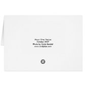 Moon Over Venice (Back Horizontal)