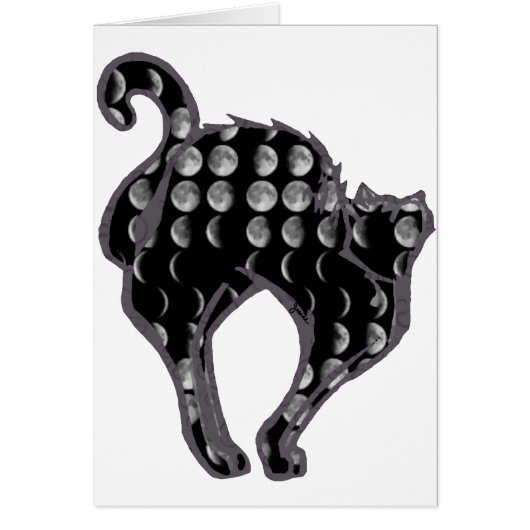 Moon Phase Kitty Cards (Front)