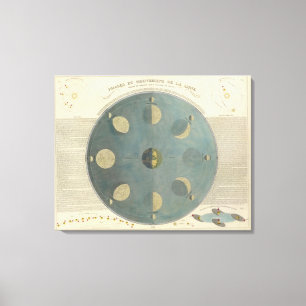 Moon Phases Canvas Print