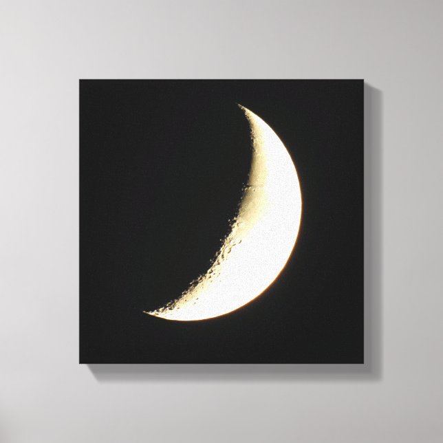 Moon Photography Art Canvas Print (Front)