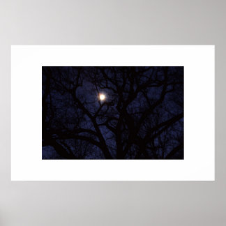 moon poster